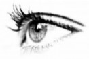 recherche espion news !